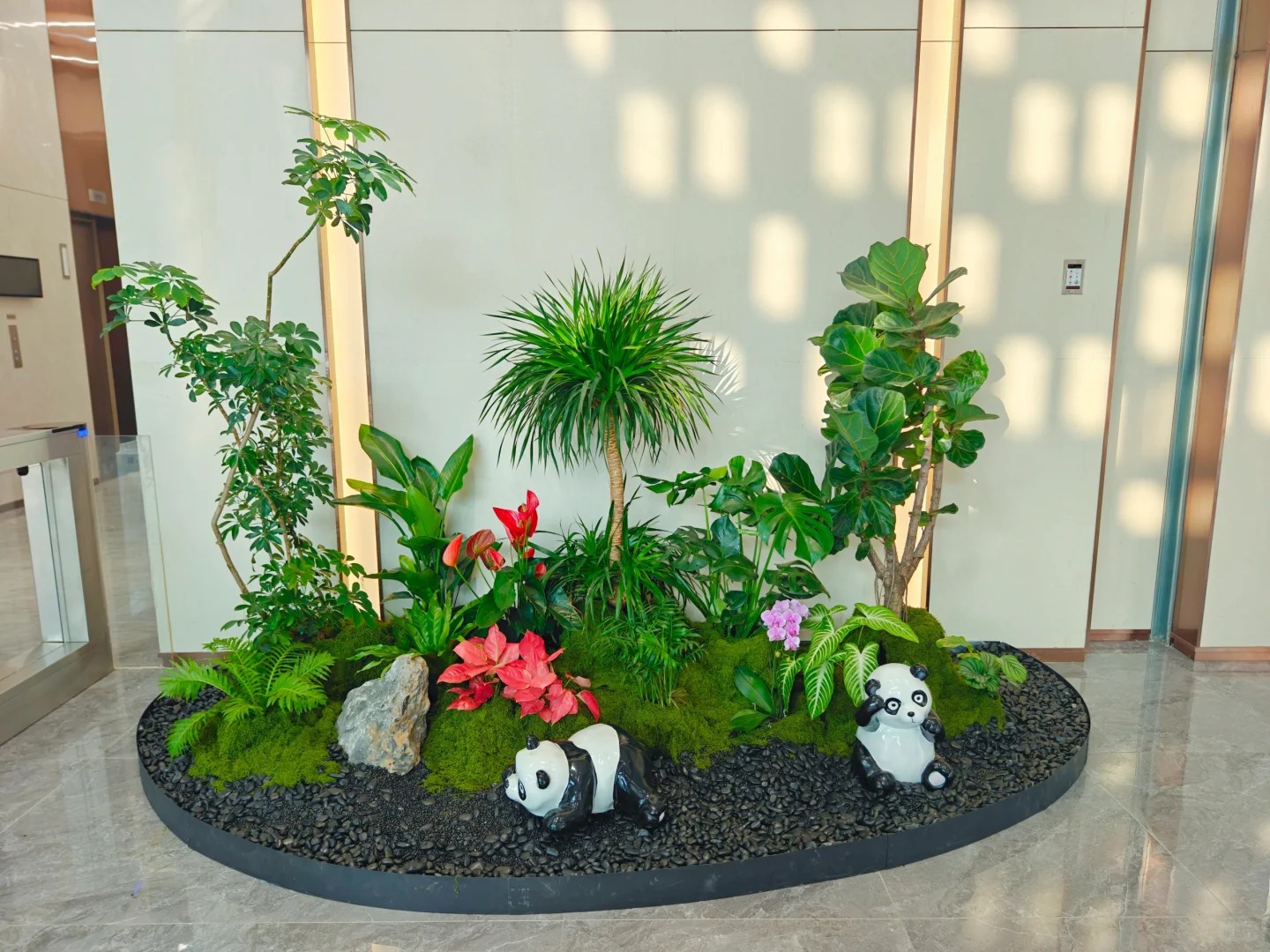 专业盆景出租，宁波海曙打造独特景观